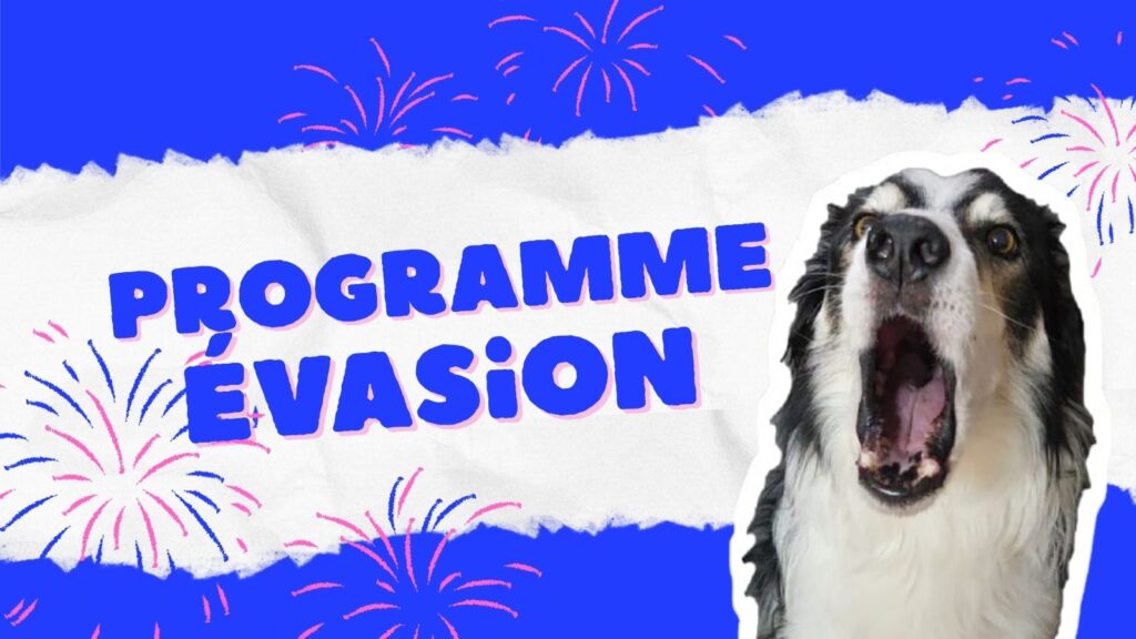 Programme évasion