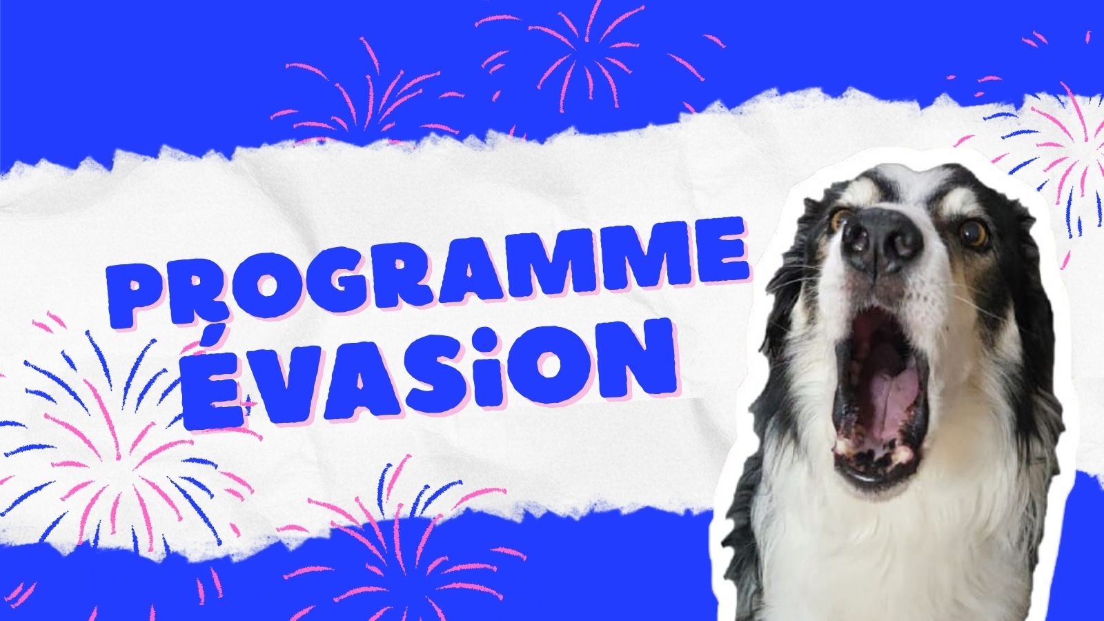 Programme évasion