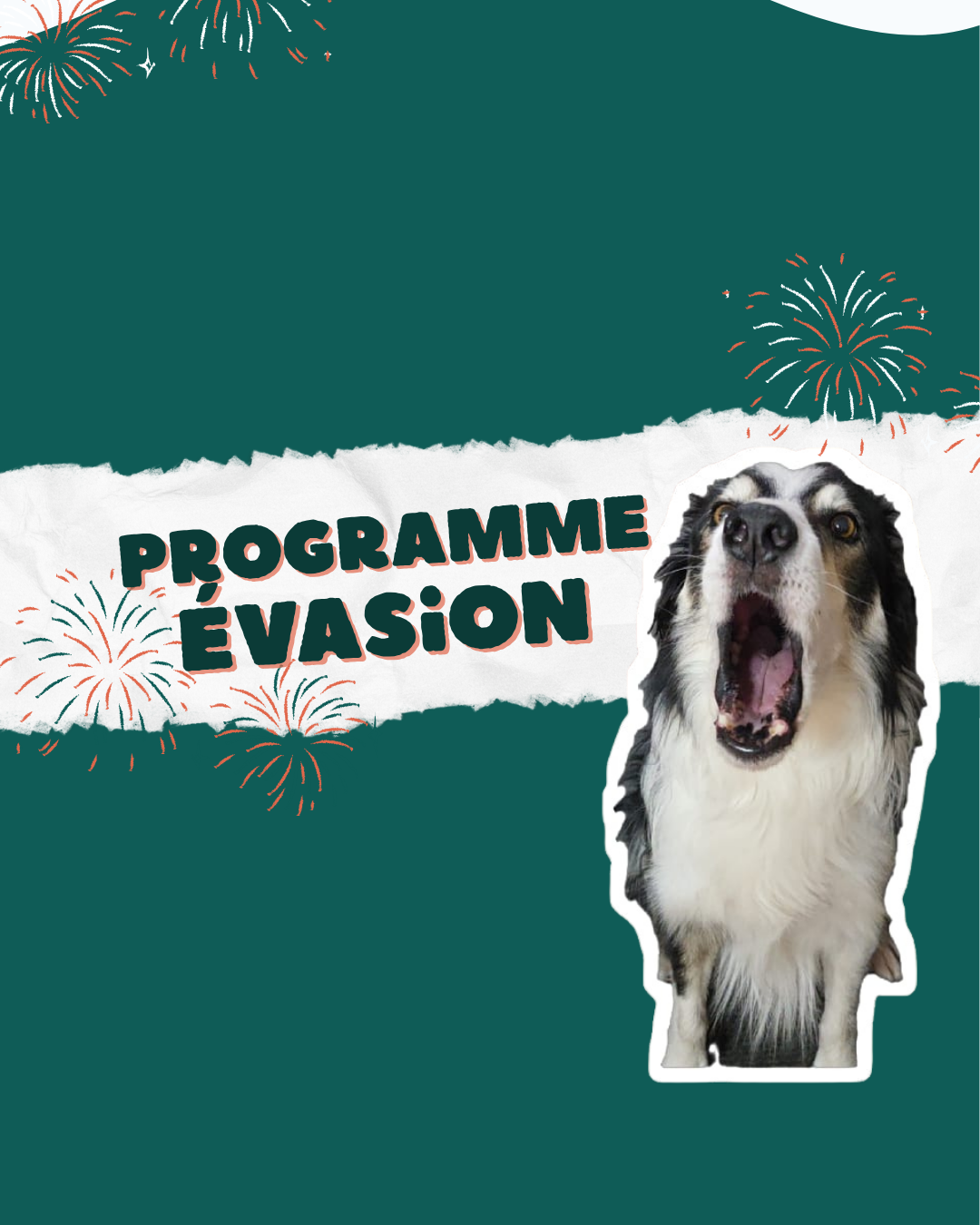 Programme évasion